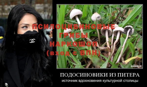 ПСИЛОЦИБИНОВЫЕ ГРИБЫ Богородск