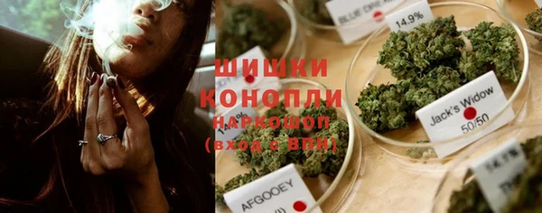 ПСИЛОЦИБИНОВЫЕ ГРИБЫ Богородск